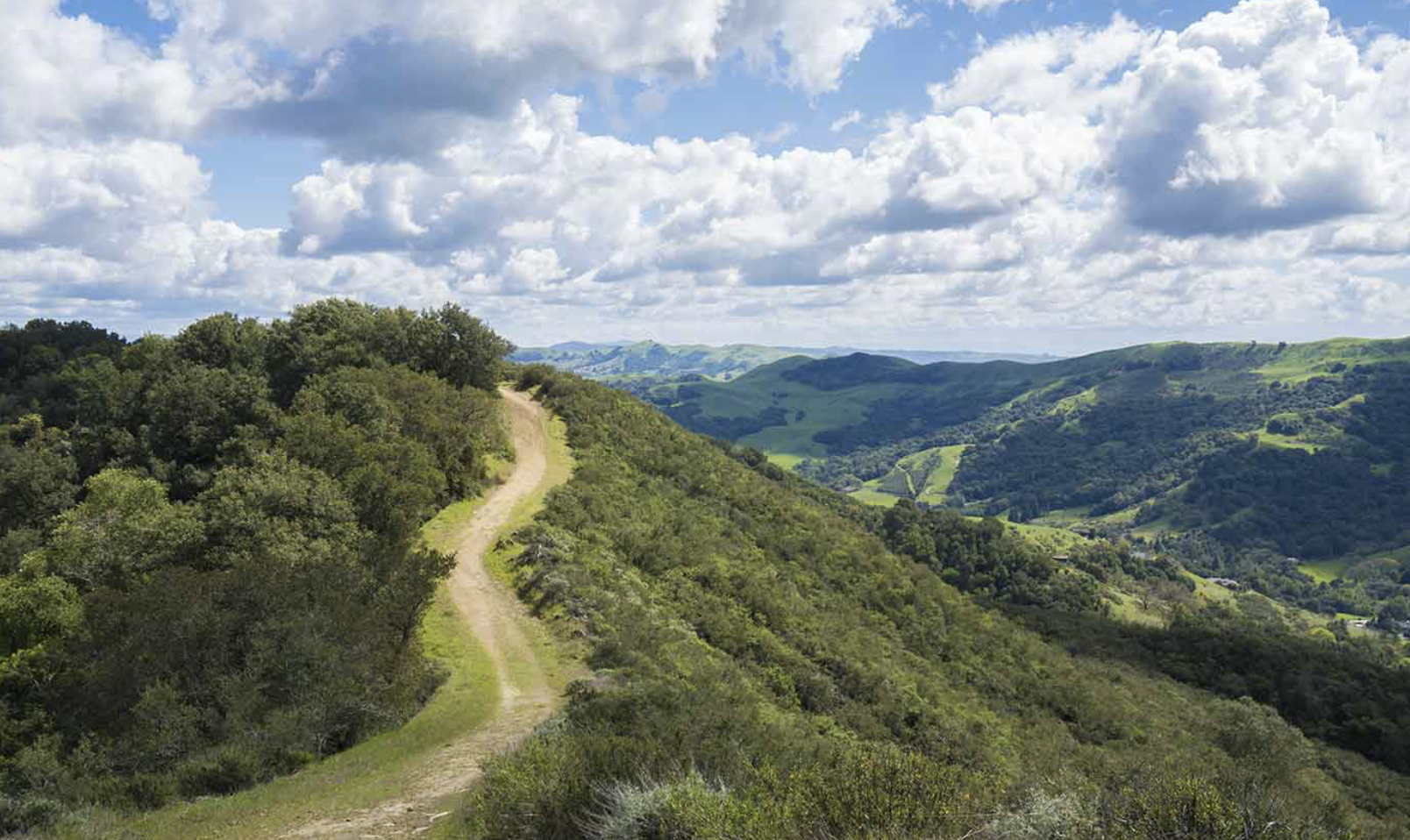 Image 2-1-26 at 11.16 PM.png