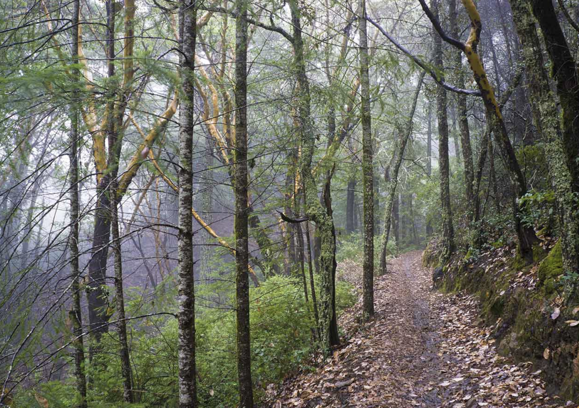 Image 3-23-26 at 10.08 PM.png